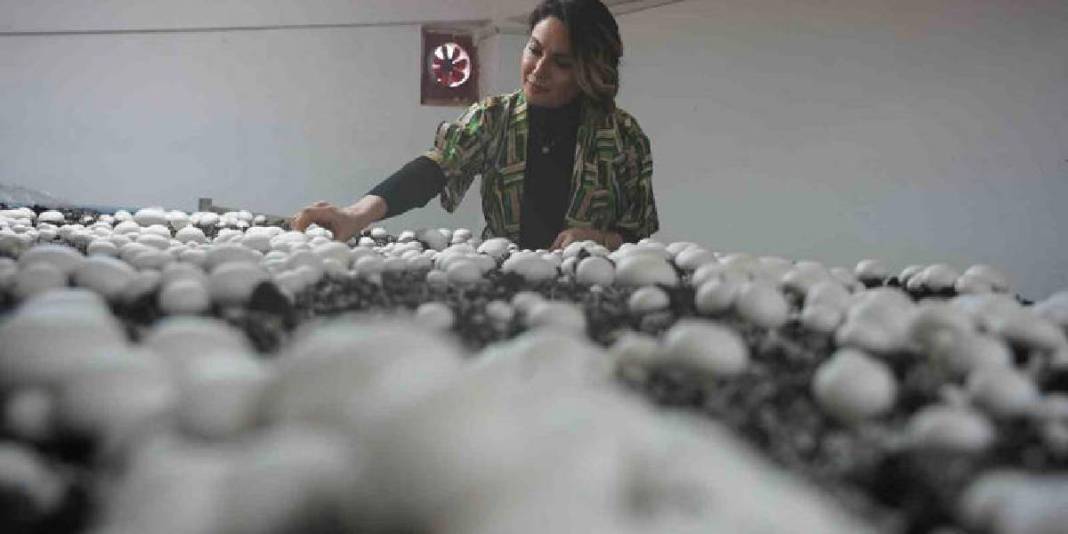 Aynı çatı altında hem eğitim hem üretim! 8 yıldır süren sistem: 60 metrekarede öğrenciler tecrübe kazanıyor 5